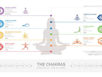 chakra with info