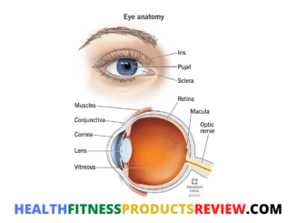 Vision Formula Review Best Discount Offer